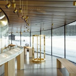 BIG Audemars Piguet tecnne