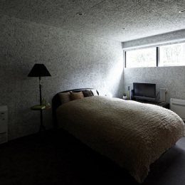 nº555, Proyecto NDA (Planter House), tecnne