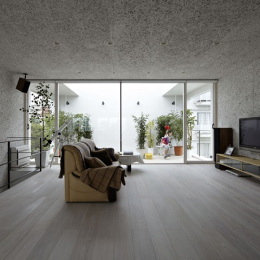 nº555, Proyecto NDA (Planter House), tecnne