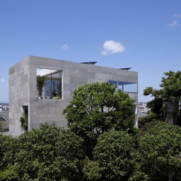 nº555, Proyecto NDA (Planter House), tecnne