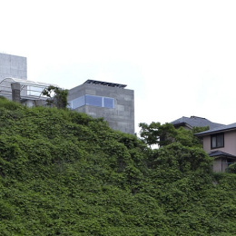 nº555, Proyecto NDA (Planter House), tecnne