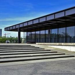 Mies Van der Rohe, Celebre Mies, tecnne