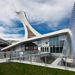 estrellas reveladas 7