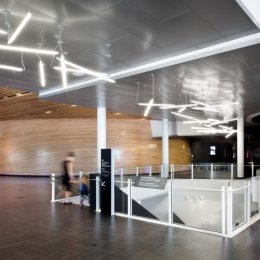 estrellas reveladas 11