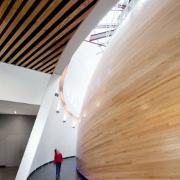 estrellas reveladas 13