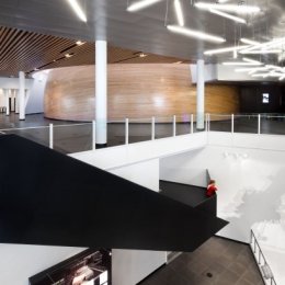 estrellas reveladas 14