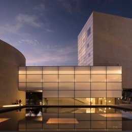 Steven Holl, Lewis Arts Complex, tecnne