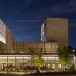 Steven Holl, Lewis Arts Complex, tecnne