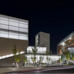 Steven Holl, Lewis Arts Complex, tecnne