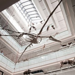 MuSe, Renzo Piano, tecnne MuSe, Renzo Piano, tecnne