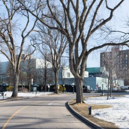 OMA, Pierre Lassonde Pabellón, tecnne