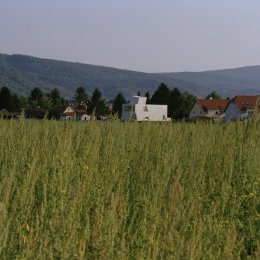 Wolfgang Tschapeller Architekt, St. Joseph House, tecnne
