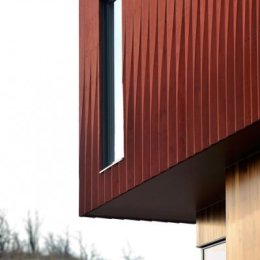 Williamson Chong, Frogs Hollow, tecnne