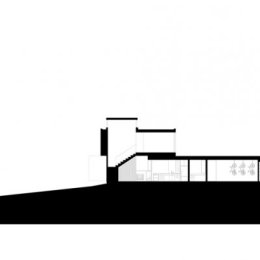 Williamson Chong, Frogs Hollow, tecnne