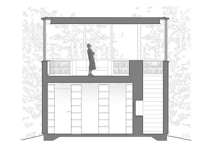 Peter Gluck, Biblioteca del Erudito