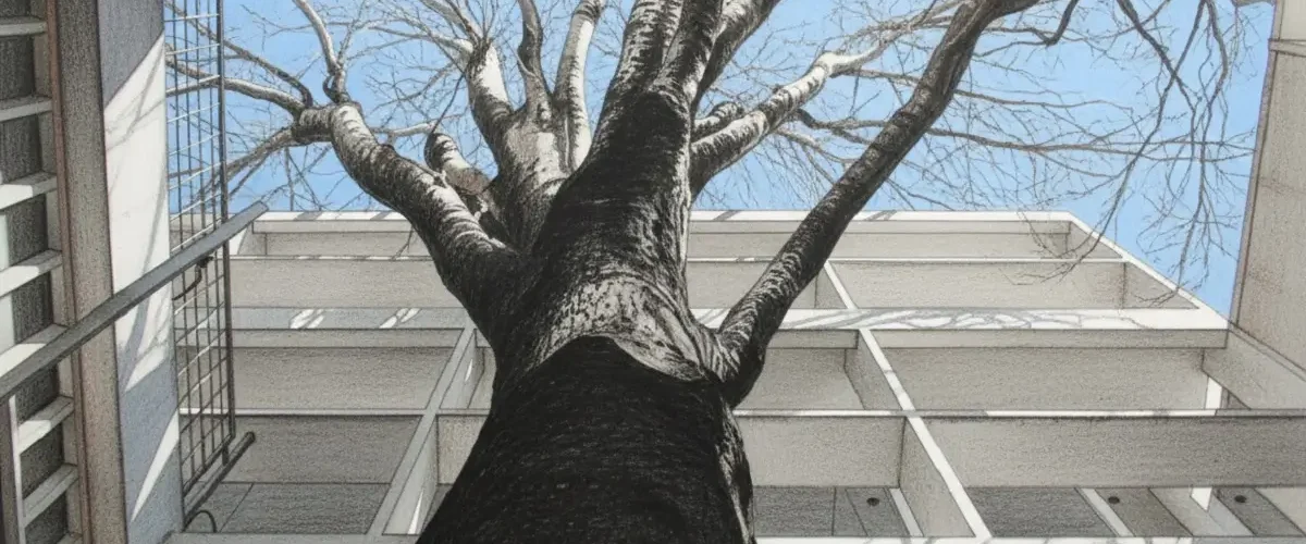 Casa Curutchet el arbol