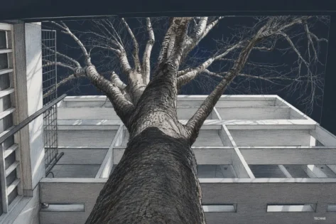 Casa Curutchet, el árbol y el bosque
