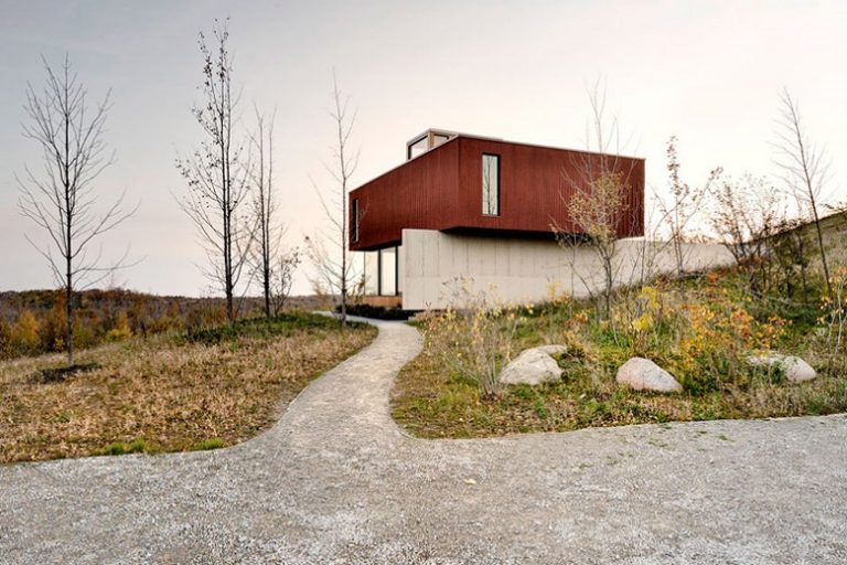 Williamson Chong, Frogs Hollow, tecnne