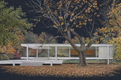Mies van der Rohe, Casa Farnsworth, vista