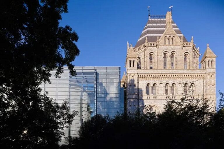 C. F. Moller, Darwin Centre Fase 2, tecnne