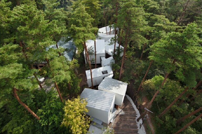 Keisuke Kawaguchi+K2-Design, Daisen Residence, Casa que coexiste con el bosque, tecnne