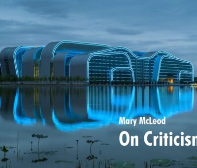 Mary McLeod, Sobre la crítica