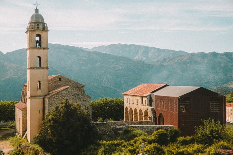 Amelia Tavella, Convent Saint François, tecnne
