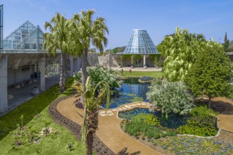 Emilio Ambasz Conservatorio Lucille Halsell @Greg Hursley, courtesy of Emilio Ambasz and Associates