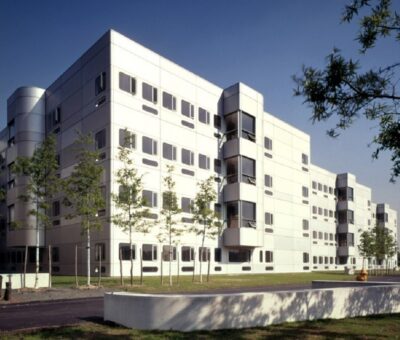 Las alusiones de Richard Meier según Dal Co